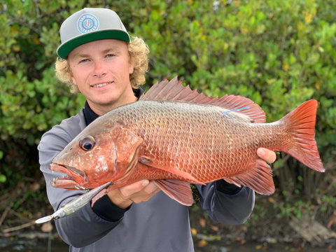 SCF Research And Sustainability Competition - Tourism Caloundra 0