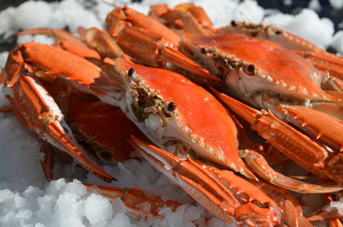 Seafood On Spencer - Tourism Caloundra 1