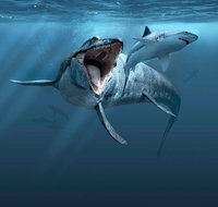 Sea Monsters - Prehistoric Ocean Predators - Tourism Caloundra