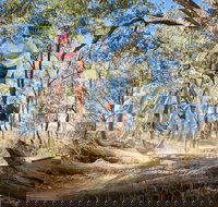 Shimano Mountain Bike Grand Prix  Logan - Tourism Caloundra