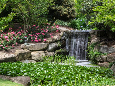 Spring Time At Hunter Valley Gardens - Tourism Caloundra 1