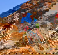 The Redback - Tourism Caloundra