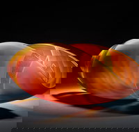 Tom Malone Prize - Tourism Caloundra