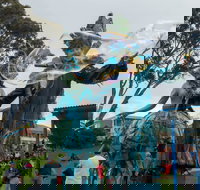 Tulip Festival Wynyard - Tourism Caloundra