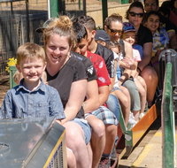 Willans Hill Miniature Railway Rides Open Days - Tourism Caloundra
