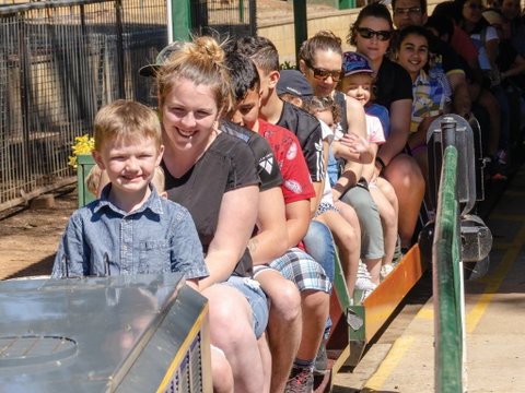 Willans Hill Miniature Railway Rides: Open Days - Tourism Caloundra 0