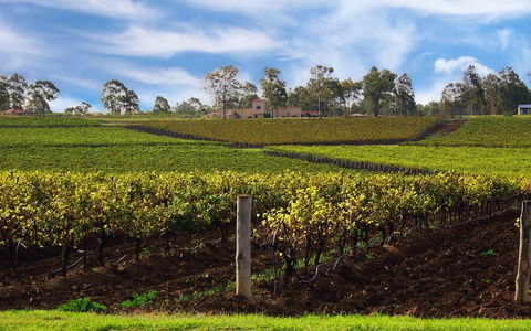 Estate Tuscany - Tourism Caloundra 3