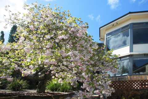 Nesuto Leura Gardens - Tourism Caloundra 1