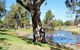 Best Western Bungil Creek Motel - thumb 4