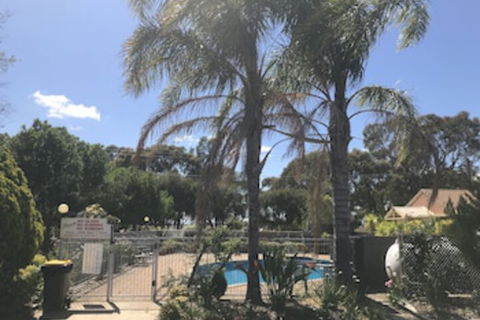 Nagambie Motor Inn - Tourism Caloundra 0