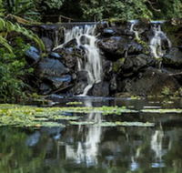 Kondalilla Eco Resort - Tourism Caloundra