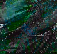 Broken River Mountain Resort - Tourism Caloundra