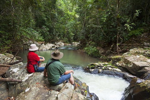 Rose Gums Wilderness Retreat - Tourism Caloundra 1