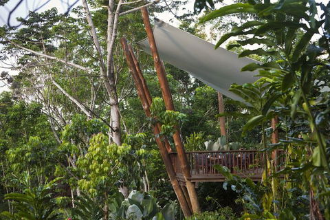 Rose Gums Wilderness Retreat - Tourism Caloundra 2
