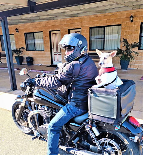 Ascot Lodge Motor Inn Kingaroy - Tourism Caloundra 2