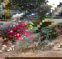 Statesman Motor Inn - Tourism Caloundra