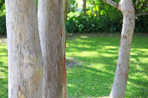 The Retreat Port Stephens - Tourism Caloundra 2