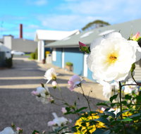 Captains At The Bay - Tourism Caloundra