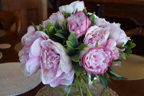 The Dragonfly Inn - Tourism Caloundra 7