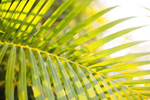 Mercure Townsville - Tourism Caloundra 4