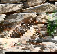 Jenolan Caves House - Tourism Caloundra