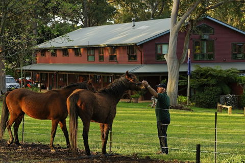 Bilpin Country Lodge - Tourism Caloundra 1