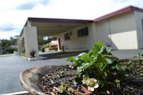 Wattle Motel - Tourism Caloundra 2