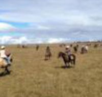 Susan River Homestead - Tourism Caloundra