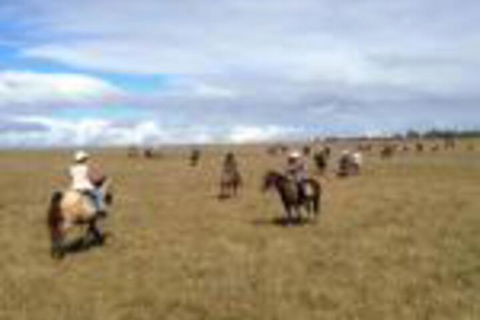 Susan River Homestead - Tourism Caloundra 0