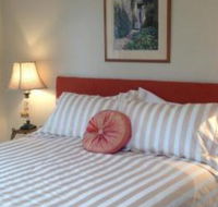 Every Man  His Dog Vineyard - Tourism Caloundra