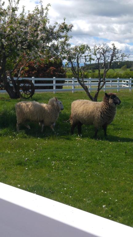 Little Sunnyside Accommodation - Tourism Caloundra 5