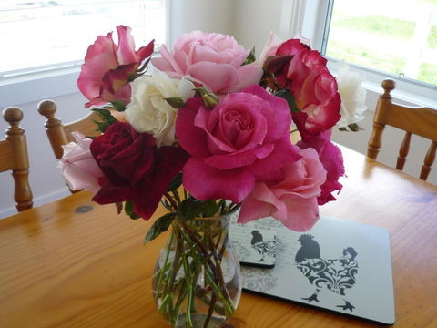 Little Sunnyside Accommodation - Tourism Caloundra 2