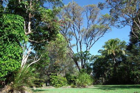 Shady Grove B & B - Tourism Caloundra 2