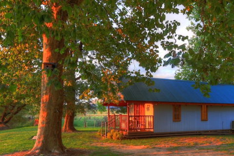 Colac Colac Caravan Park - Tourism Caloundra 5