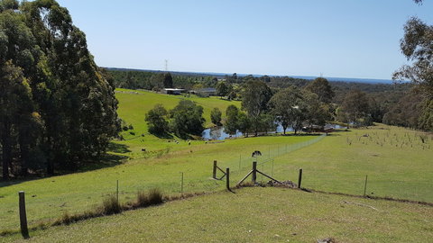 Blueberry Hills On Comleroy - Tourism Caloundra 4