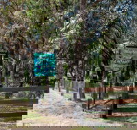 Blueberry Hills On Comleroy - Tourism Caloundra