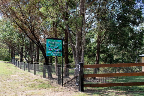 Blueberry Hills On Comleroy - Tourism Caloundra 0