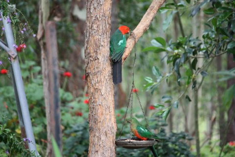Twilight Grove Farm - Tourism Caloundra 3