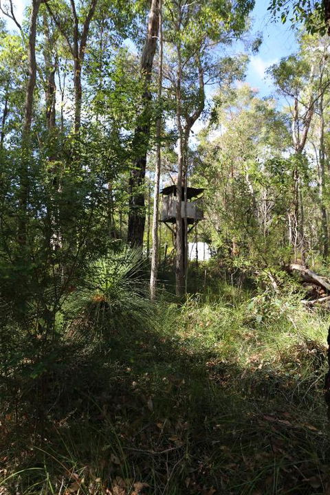 Nannup Bush Retreat - Tourism Caloundra 2