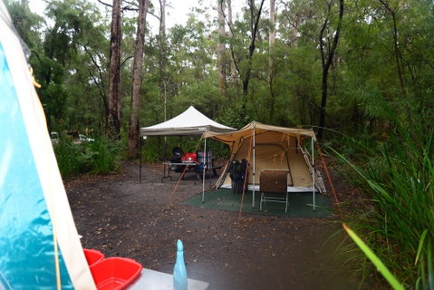 WA Wilderness - Tourism Caloundra 3