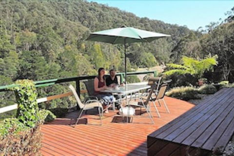 Wild Cherry Bed & Breakfast - Tourism Caloundra 4