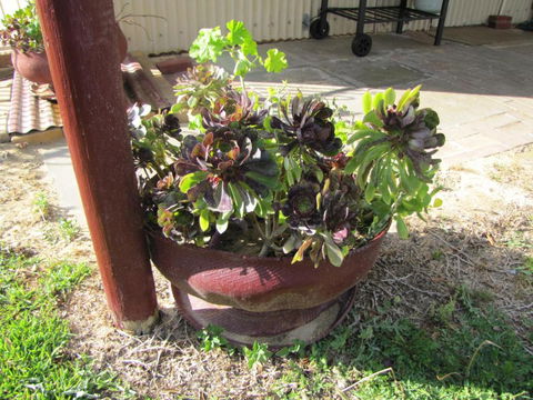 Ocean View Retreat - Tourism Caloundra 4