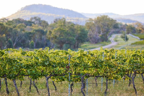 James Farmhouse - Tourism Caloundra 6