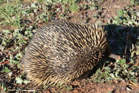 The Wicked Villa - Tourism Caloundra 3