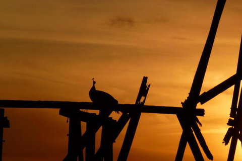 The Wicked Villa - Tourism Caloundra 5