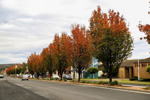 Getaway Tourist Park - Tourism Caloundra 6