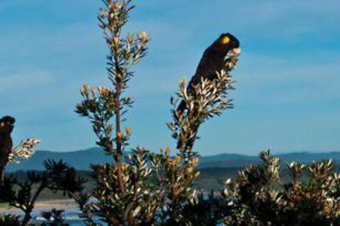 Apricari Oasis By The Sea - Tourism Caloundra 6