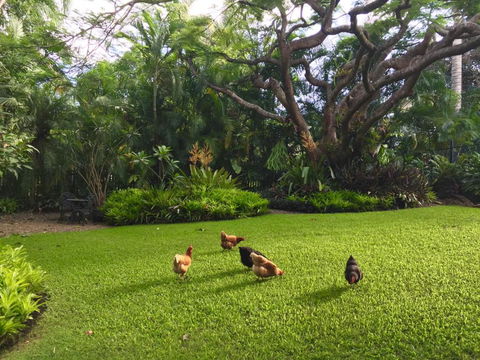 Eden Rest - Tourism Caloundra 1