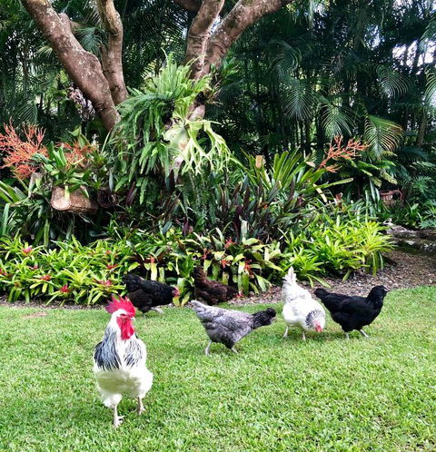 Eden Rest - Tourism Caloundra 3