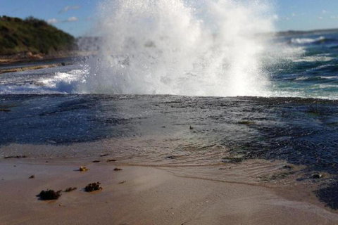 Serenity Lodge For Couples - Tourism Caloundra 7